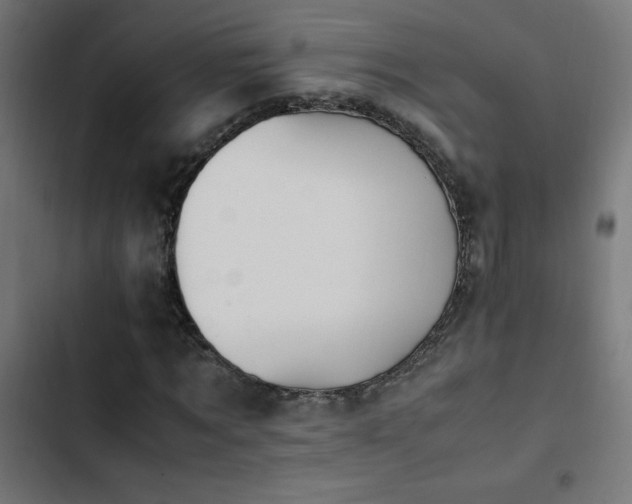 X0000103450869200809121425