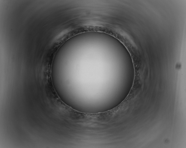 X0000103450870200809121425