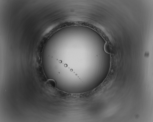 X0000103450871200809121425