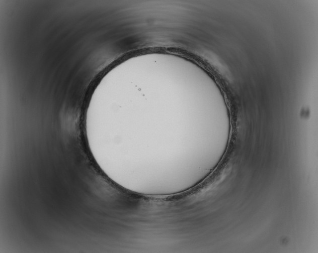 X0000103450873200809121425