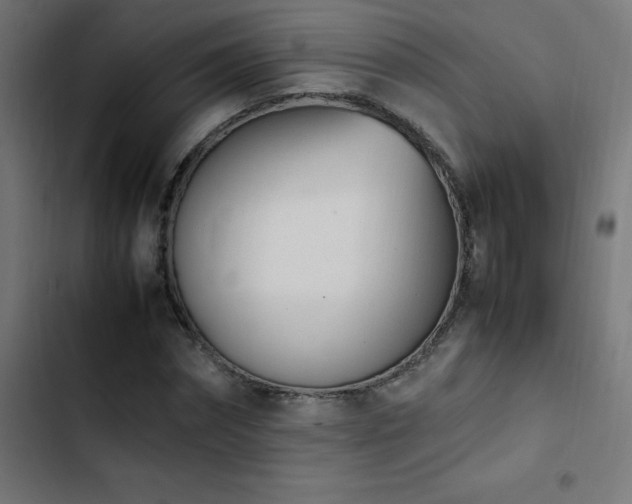 X0000103450874200809121425