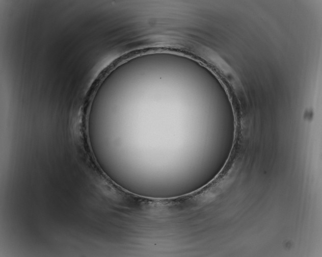 X0000103450875200809121425