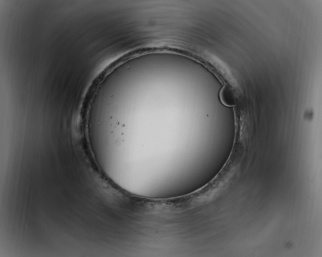X0000103450876200809121425