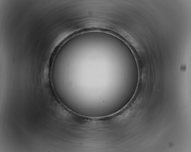 X0000103450877200809121425