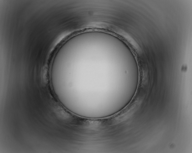 X0000103450878200809121425