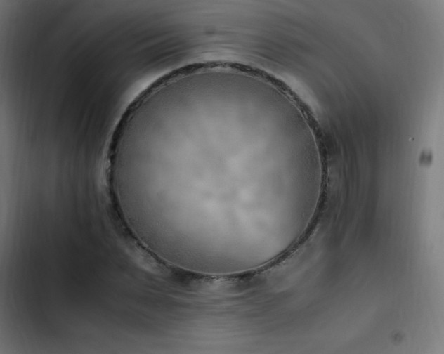 X0000103450879200809121425