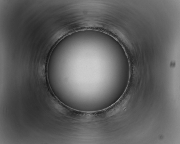 X0000103450881200809121425