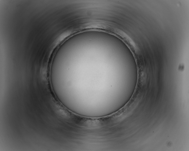 X0000103450882200809121425