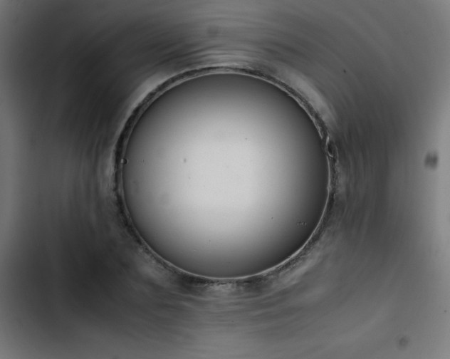 X0000103450883200809121424