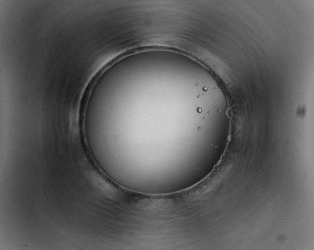 X0000103450884200809121424