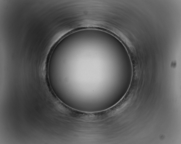 X0000103450885200809121424
