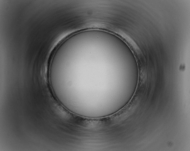 X0000103450886200809121424
