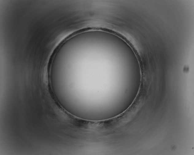 X0000103450887200809121424