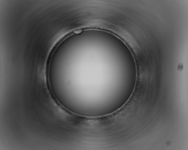 X0000103450888200809121424