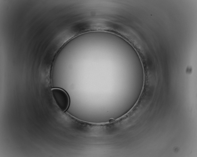X0000103450889200809121424