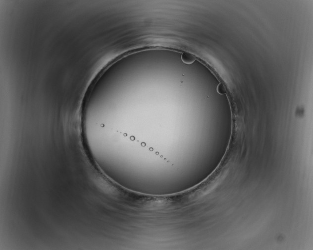 X0000103450891200809121424