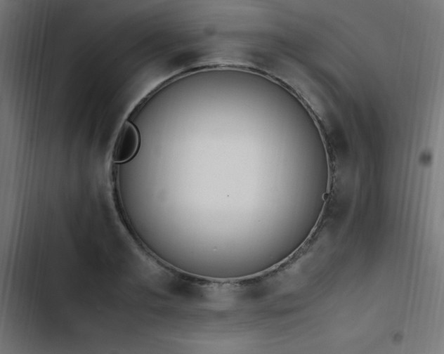 X0000103450893200809121424