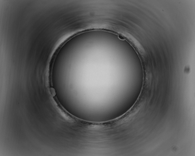X0000103450894200809121424