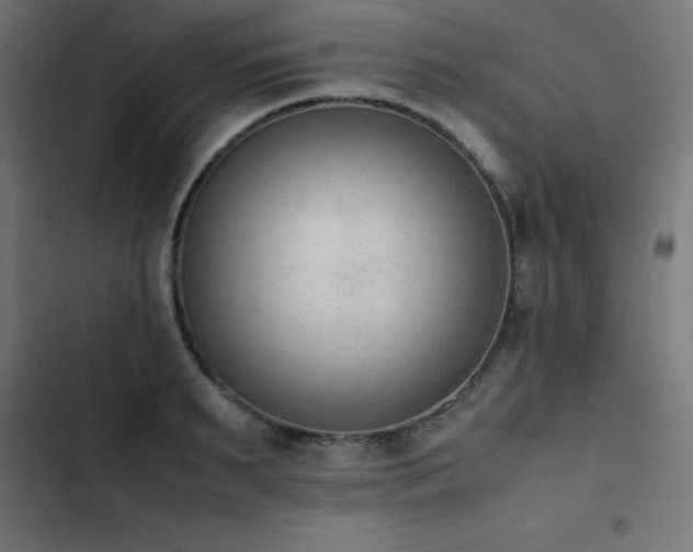 X0000103450895200809121424