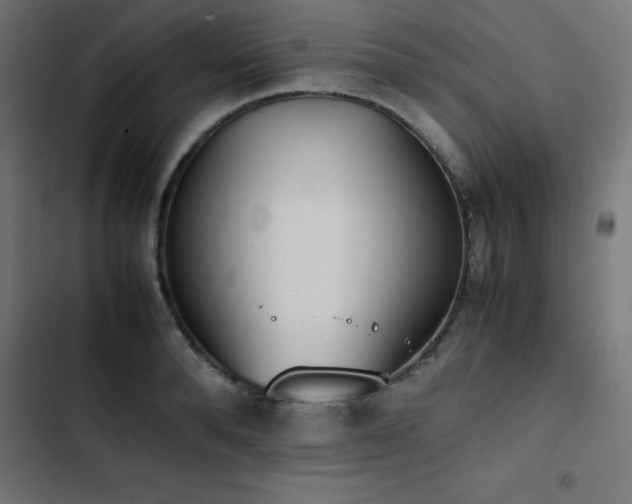 X0000103450896200809121424
