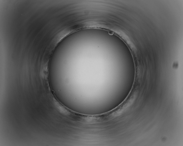 X0000103450897200809121424