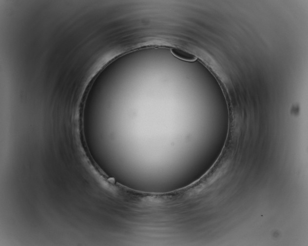X0000103450898200809121424