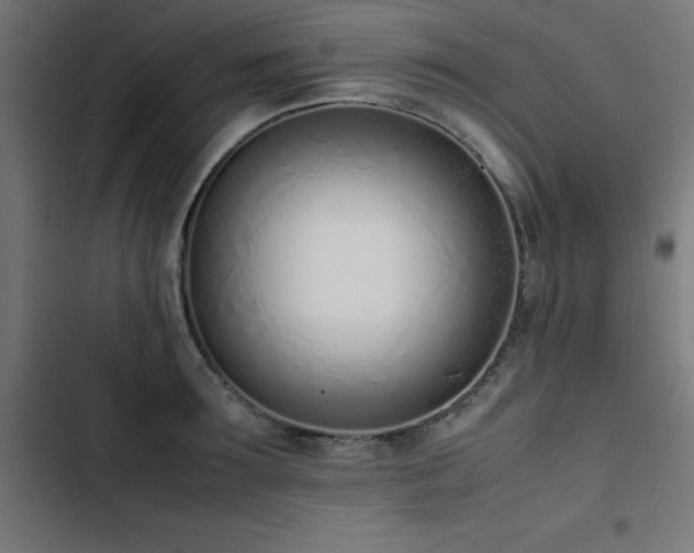 X0000103450899200809121424