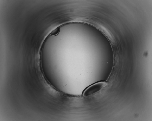 X0000103450900200809121424