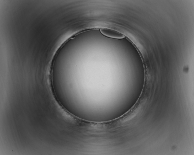 X0000103450901200809121424