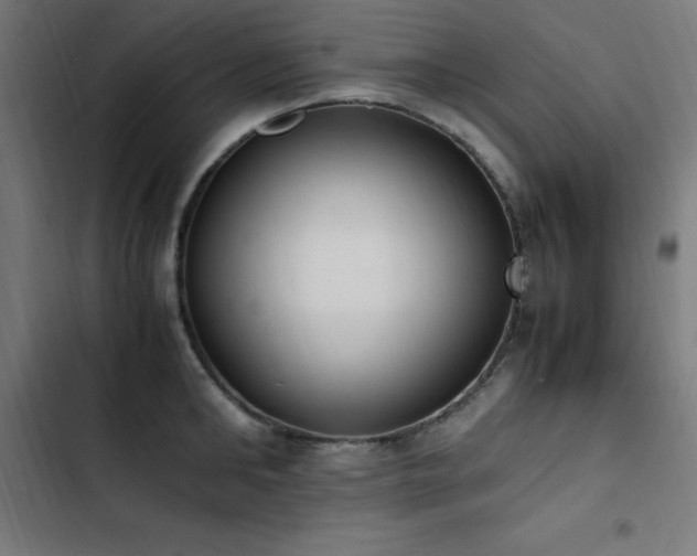 X0000103450902200809121424
