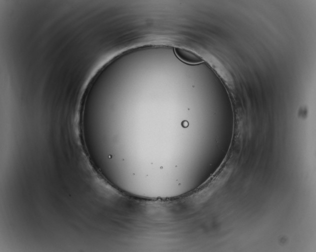 X0000103450904200809121424