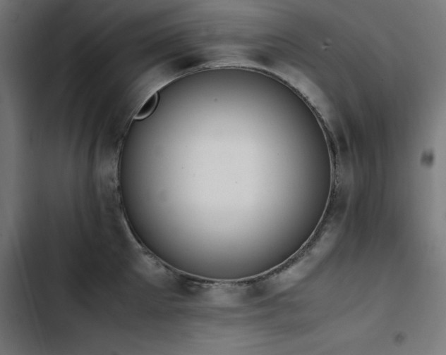 X0000103450905200809121424
