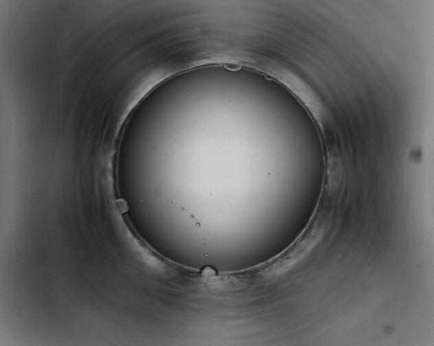 X0000103450906200809121424