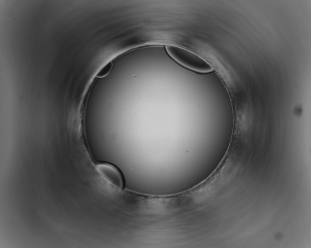 X0000103450908200809121424