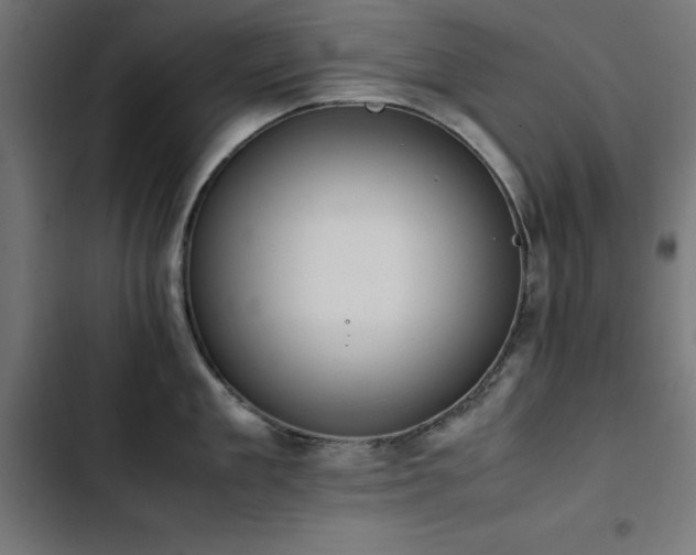 X0000103450909200809121424