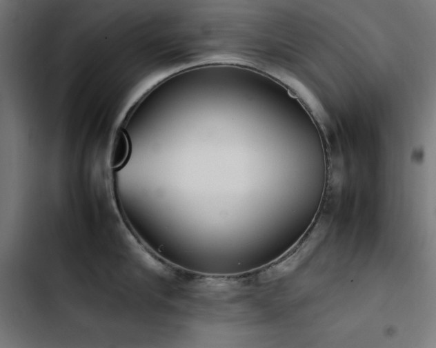 X0000103450910200809121424