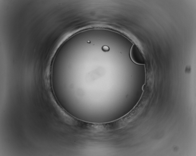 X0000103450911200809121424