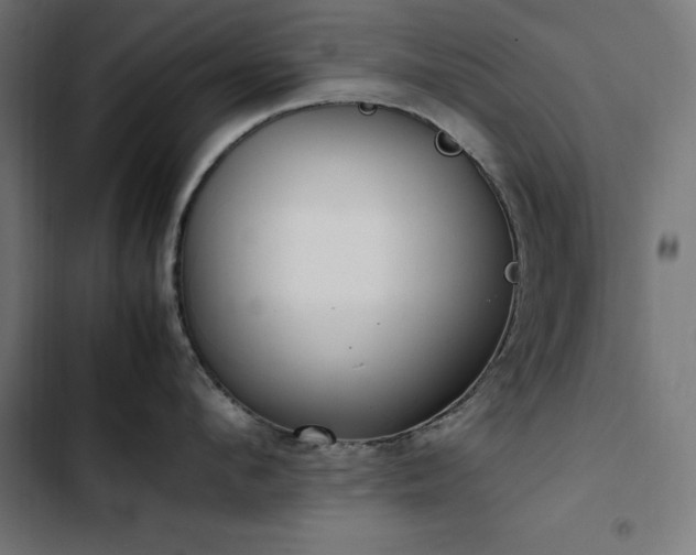 X0000103450912200809121424