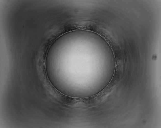 X0000103450913200809121423