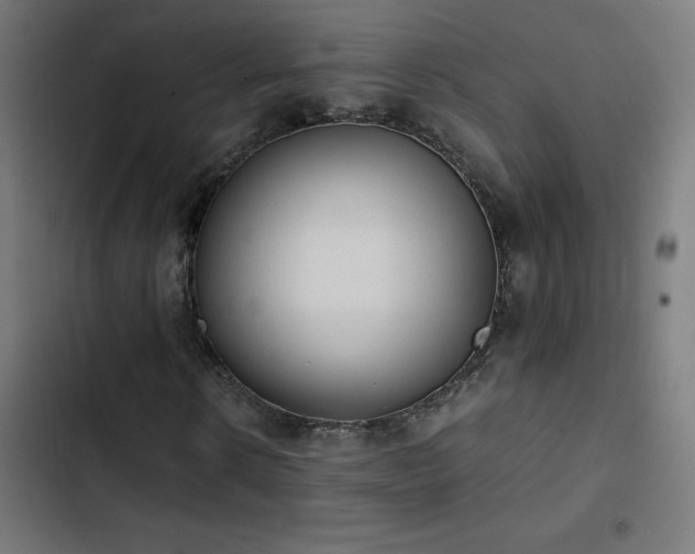 X0000103450914200809121423