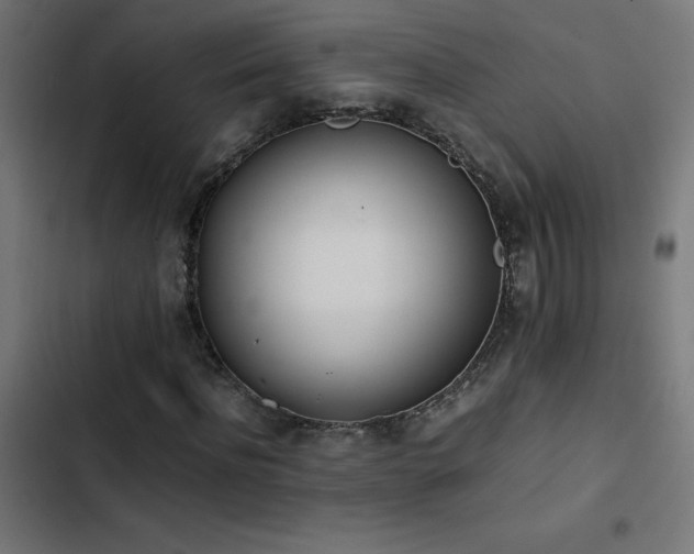 X0000103450916200809121423