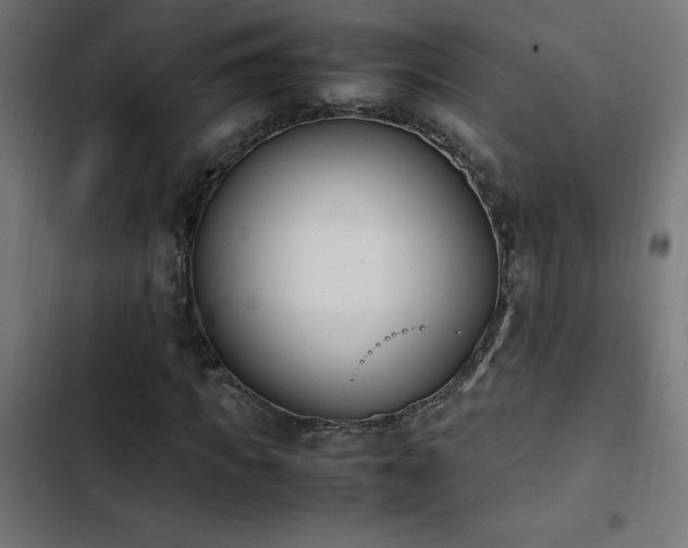 X0000103450917200809121423