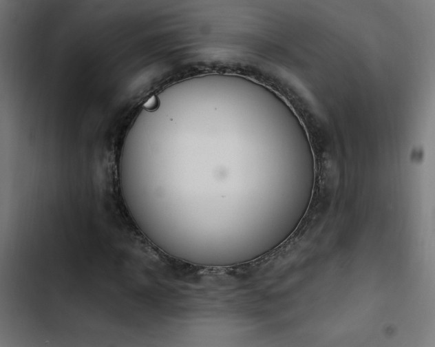 X0000103450918200809121424
