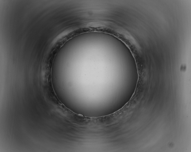 X0000103450920200809121424