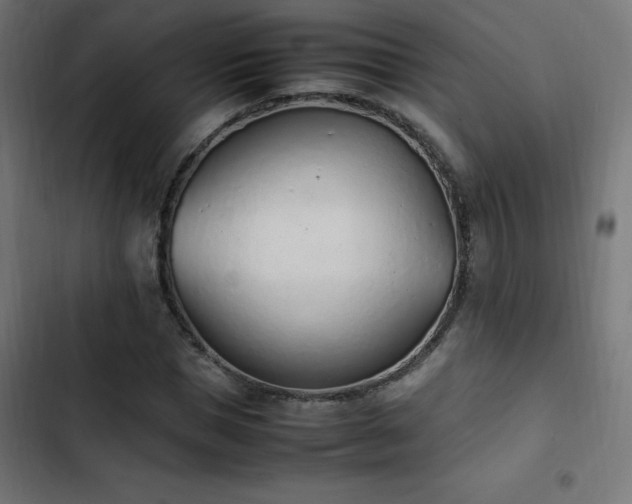 X0000103450921200809121424