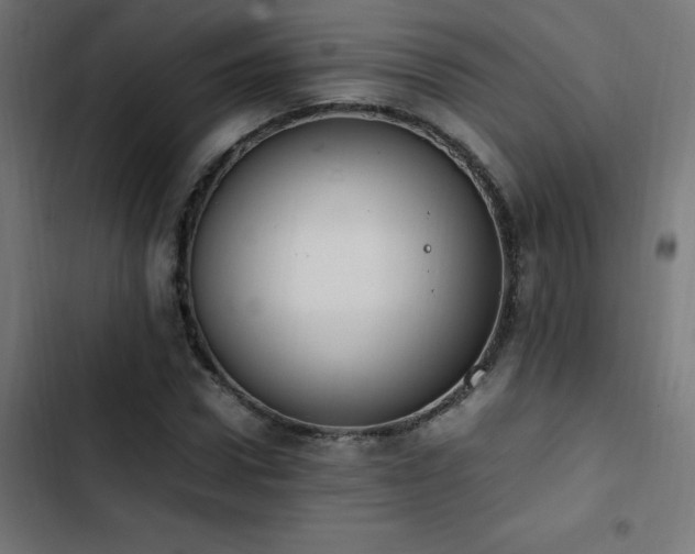 X0000103450922200809121424