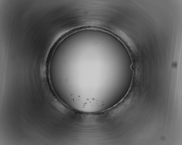X0000103450924200809121424