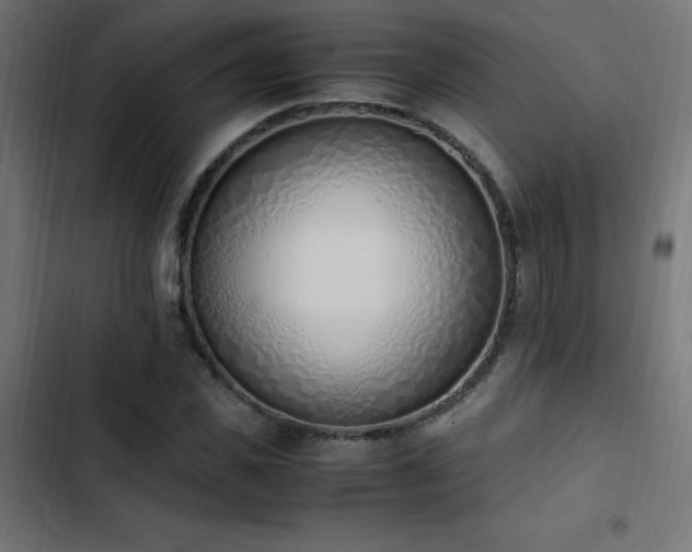 X0000103450925200809121424