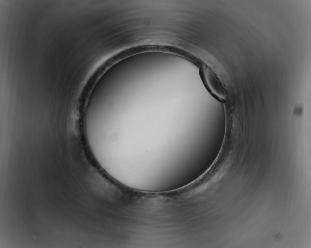 X0000103450926200809121424