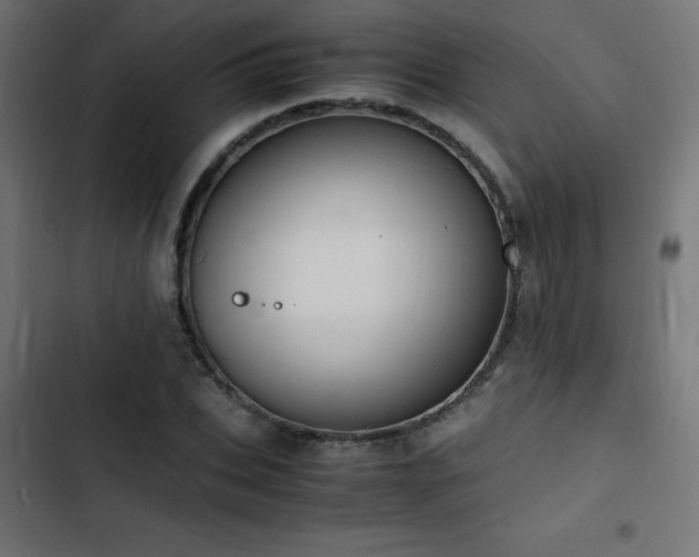 X0000103450927200809121424